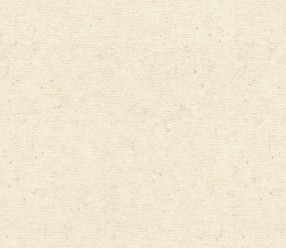 Обои Rasch Trend 974218